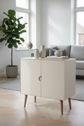 Scandinavian Metal Cabinet